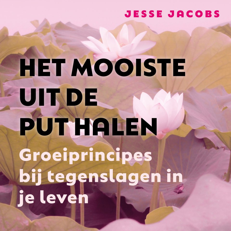 Omslagfoto van Het mooiste uit de put halen: groei-principes bij tegenslagen in je leven